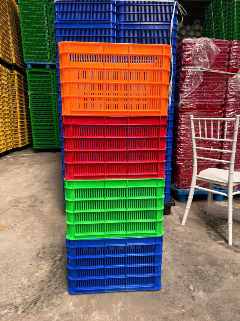 Bộ sóng nhựa nhiều màu, thiết kế dễ phân loại, được doanh nghiệp logistics ở Bình Dương ưa chuộng