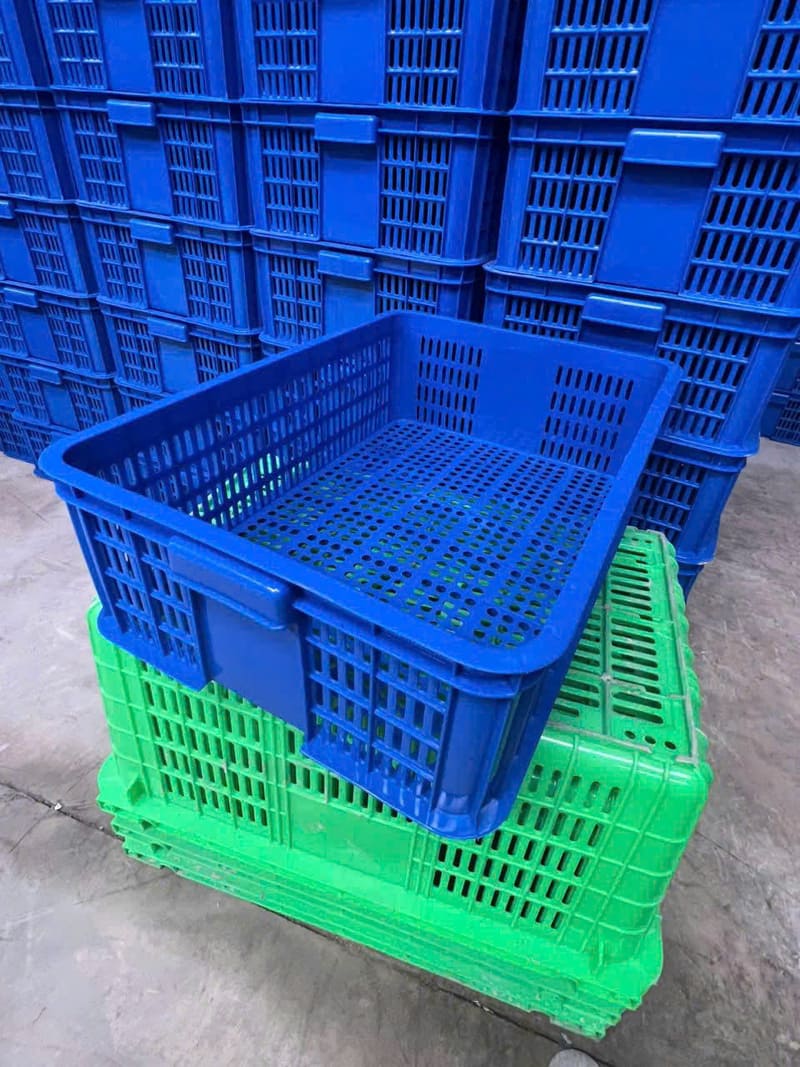 Sóng nhựa hở màu xanh, bền chắc, dùng nhiều trong thu hoạch nông sản tại Đắk Lắk