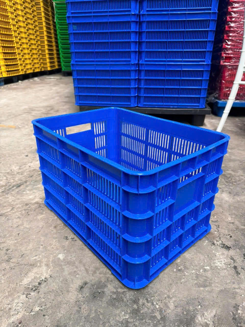 Thùng nhựa xanh hở, dung tích lớn, lựa chọn phổ biến của nông hộ và siêu thị ở Đồng Nai