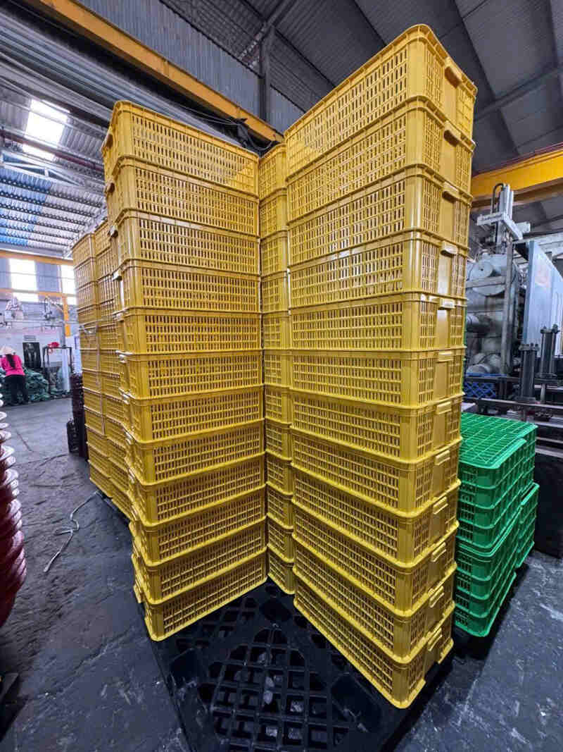 Sọt nhựa vàng thành cao, bền và chịu tải tốt, được nhiều kho bãi sử dụng