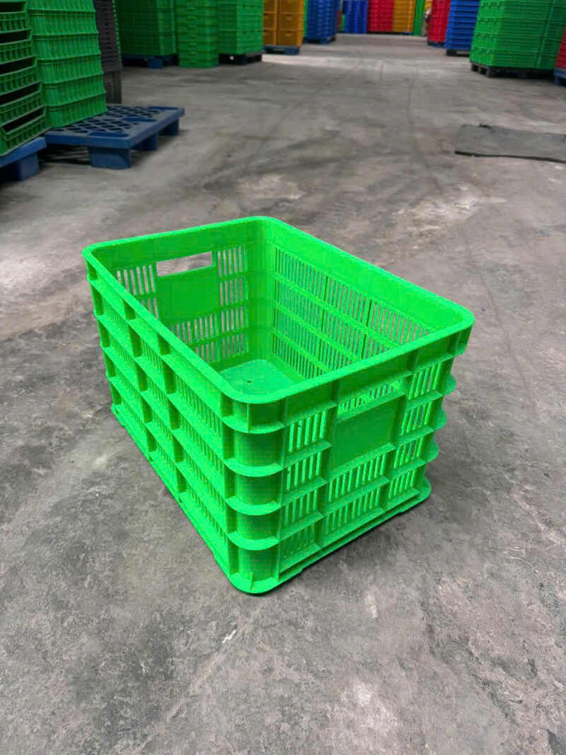 Thùng nhựa xanh lá chắc chắn, thường được hợp tác xã chọn để gom nông sản số lượng lớn