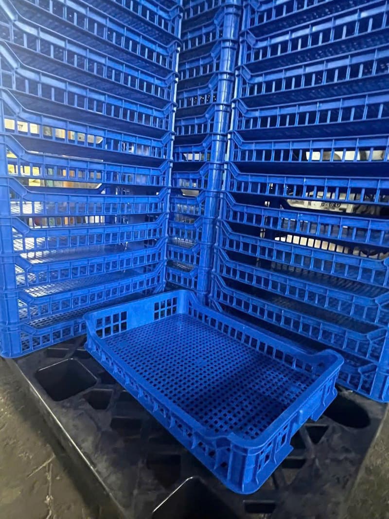 Sóng nhựa xanh dương lưới dày, chồng xếp gọn gàng, giúp tối ưu diện tích kho bãi tại Long An