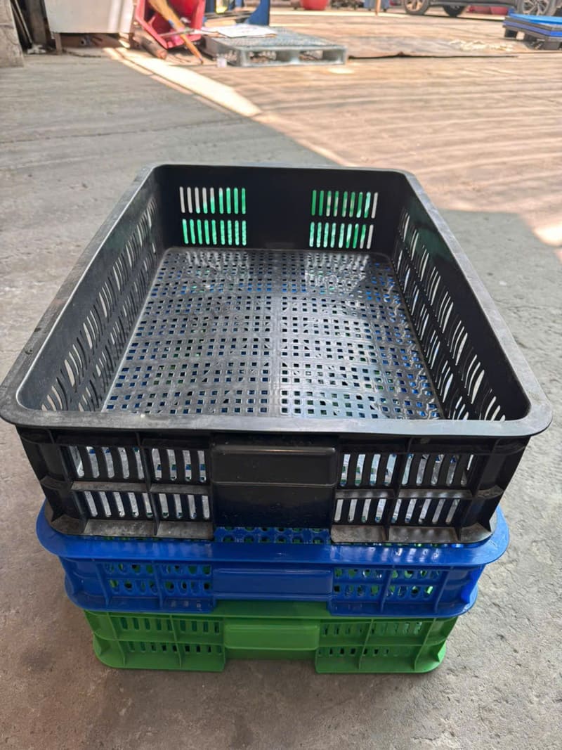 Sóng nhựa đen kết hợp sọt xanh, sọt xanh dương, thiết kế lỗ thoáng khí, bền đẹp dùng trong nông nghiệp Bảo Lộc