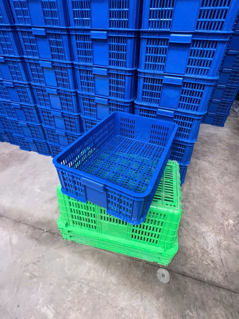 Sóng nhựa nhiều màu sắc (cam, đỏ, xanh lá, xanh dương)