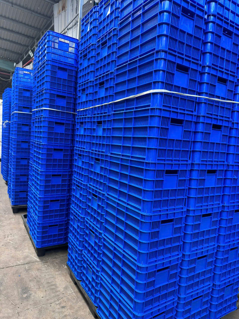 Sóng nhựa màu xanh dương được sản xuất số lượng lớn, đáp ứng nhu cầu phân phối và lưu trữ hàng hóa tại Vĩnh Long