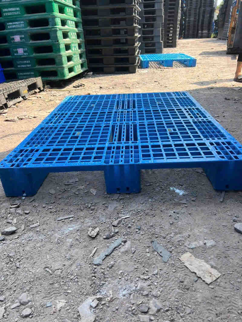 Pallet nhựa mặt lưới thoáng, dễ vệ sinh cho chuồng trại chăn nuôi
