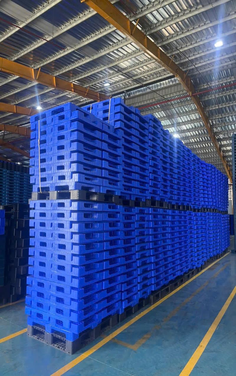 Hàng pallet được sắp xếp ngay ngắn trong kho, sẵn sàng cho các đơn hàng lớn