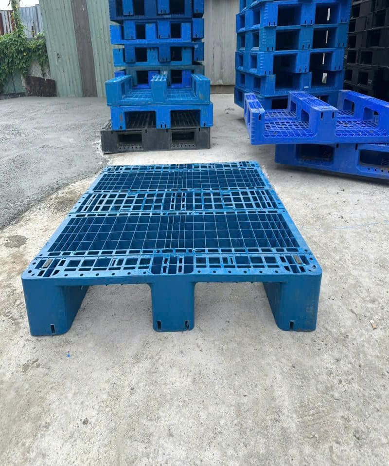 Mẫu pallet nhựa phổ biến, có thiết kế chắc chắn phù hợp cho kho lạnh