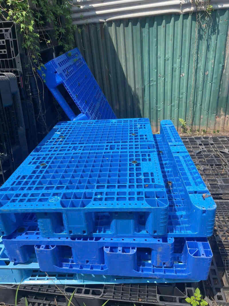 Mẫu pallet mặt lưới màu xanh nổi bật, phù hợp cho kho hàng khô và khu vực lưu trữ tạm