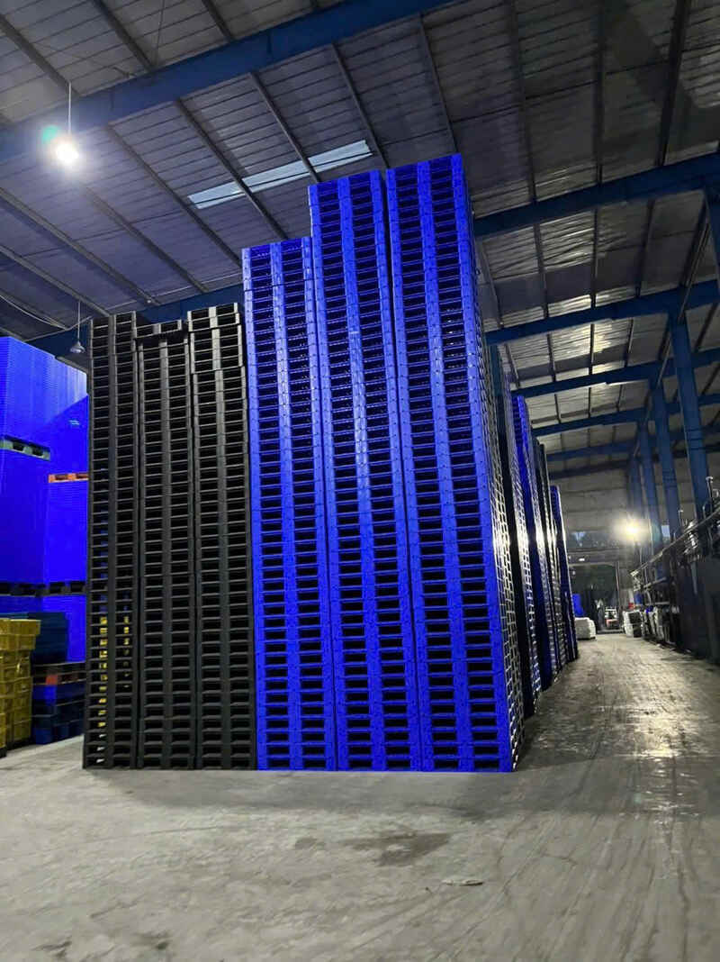 Pallet nhựa màu xanh và đen được phân loại rõ ràng, thuận tiện cho việc bốc xếp và vận chuyển