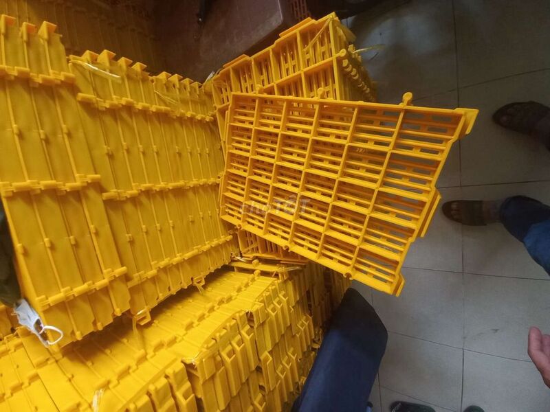 Pallet nhựa được xếp gọn, sẵn sàng lắp đặt cho các khu chuồng mới mở rộng