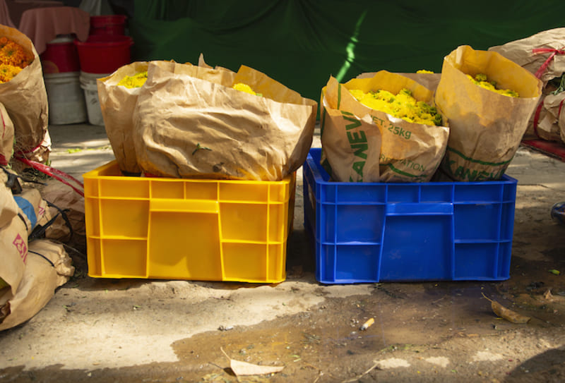 Sóng nhựa kín được tận dụng trong bảo quản nông sản thu hoạch sớm