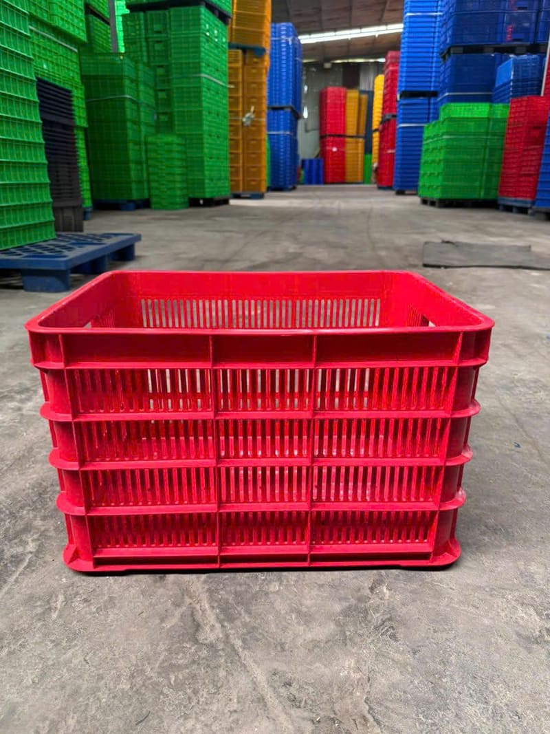 Sóng hở màu đỏ kích thước lớn được dùng phổ biến trong kho và vận chuyển hàng tươi