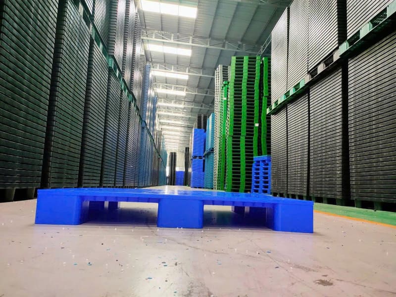 Kho pallet nhựa đa dạng kích thước, đáp ứng nhu cầu chăn nuôi và sản xuất công nghiệp