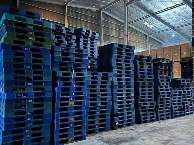 Pallet nhựa được sử dụng phổ biến trong kho hàng, nhà máy và khu công nghiệp tại Đồng Nai.