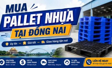 Mua pallet nhựa tại Đồng Nai ở đâu uy tín? Kinh nghiệm chọn nơi bán chất lượng, giá tốt