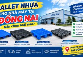 Pallet nhựa cho nhà máy tại Đồng Nai – Nên chọn loại nào?