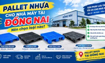 Pallet nhựa cho nhà máy tại Đồng Nai – Nên chọn loại nào?