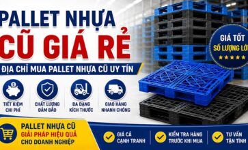 Pallet nhựa cũ giá rẻ – Địa chỉ mua pallet nhựa cũ uy tín