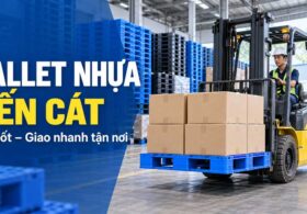 Pallet nhựa Bến Cát » Giải pháp kê hàng bền sạch cho doanh nghiệp