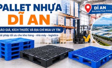 Pallet nhựa Dĩ An – Báo giá, kích thước và địa chỉ mua uy tín