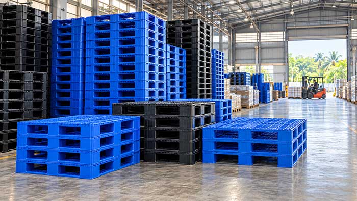 Chọn kích thước pallet theo kiện hàng, tải trọng và thiết bị nâng trong kho.