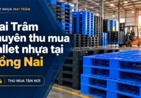 Thu mua pallet nhựa tại Đồng Nai » thu mua tận nơi