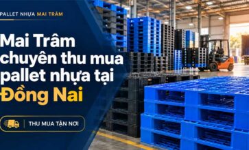 Thu mua pallet nhựa tại Đồng Nai » thu mua tận nơi