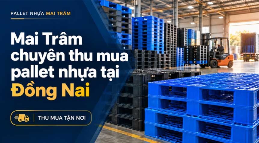 Thu mua pallet nhựa tại Đồng Nai » thu mua tận nơi